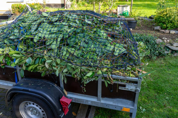 Best Estate Cleanout  in Dublin, VA